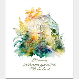 Garden Greenhouse Melody Posters and Art